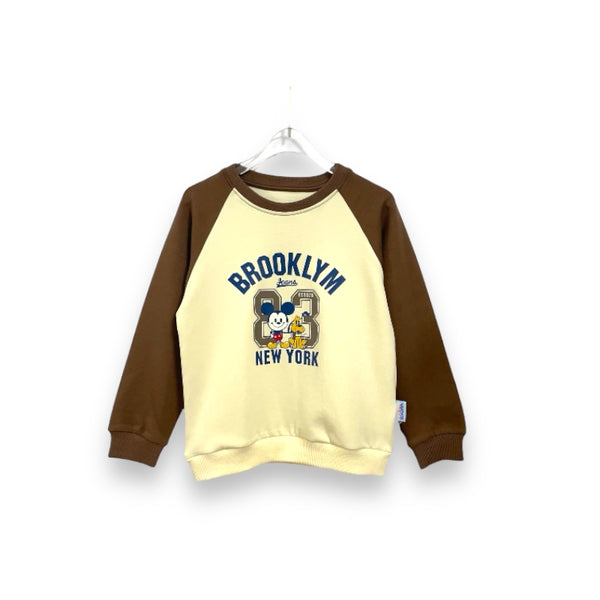 Boys Printed Dual Color Sweatshirt